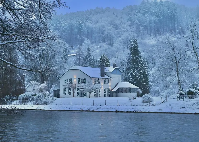 Du Moulin 아이웨일